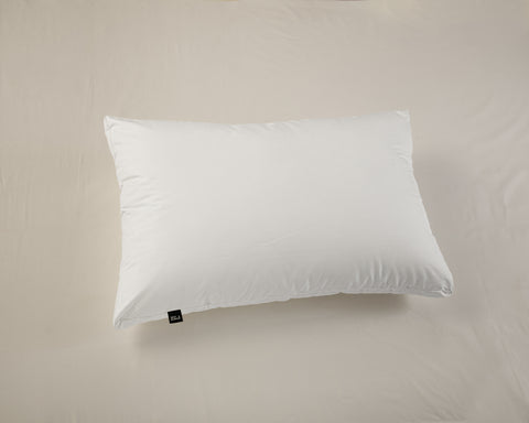 Hotel Pillow - Large