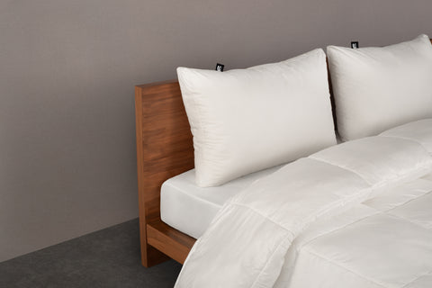 Hotel Pillow